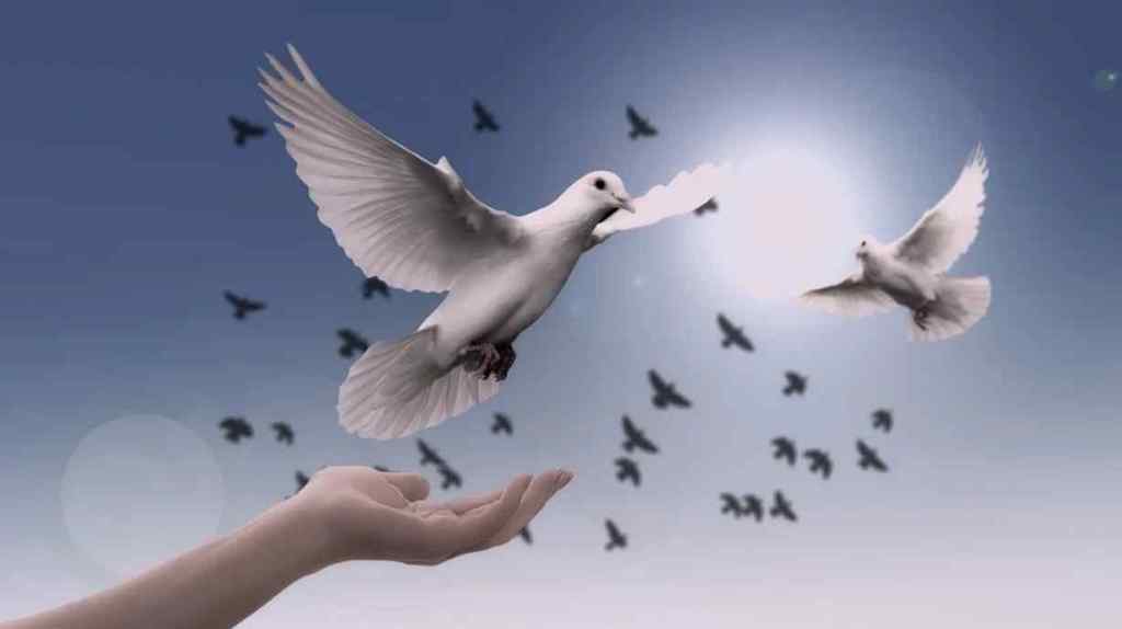 Frieden auf Erden allen Menschen